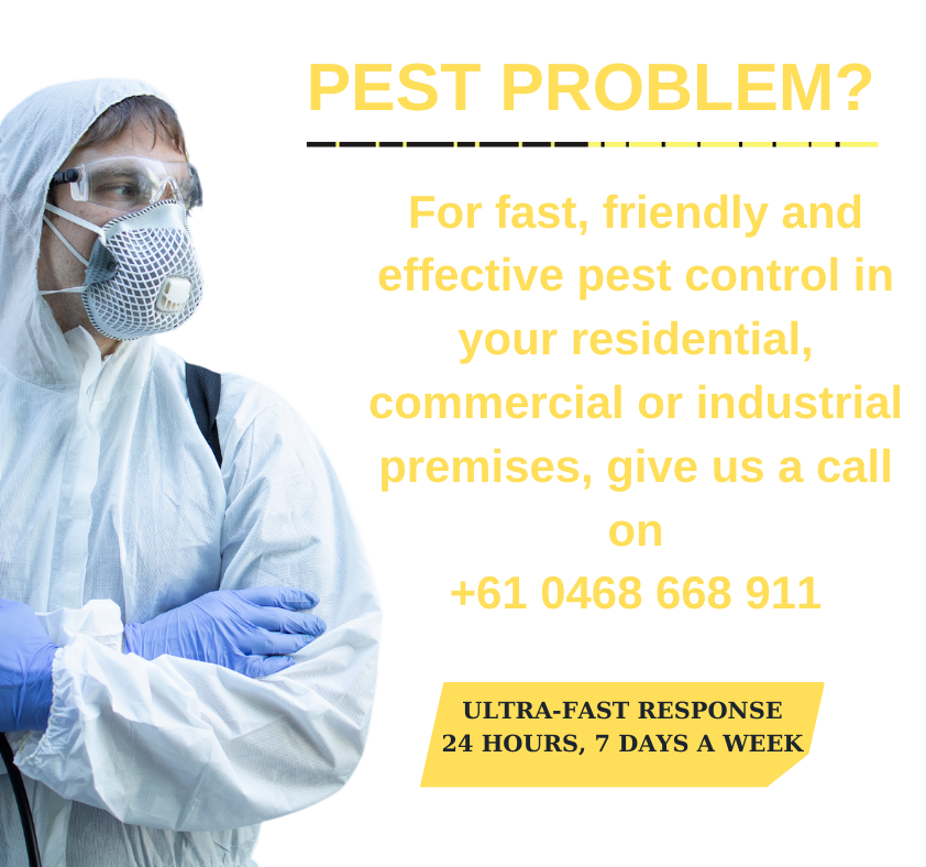 GET YOUR FREE QUOTE