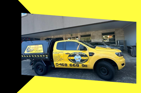 Choosing the Right Pest Control Service: Factors to Consider