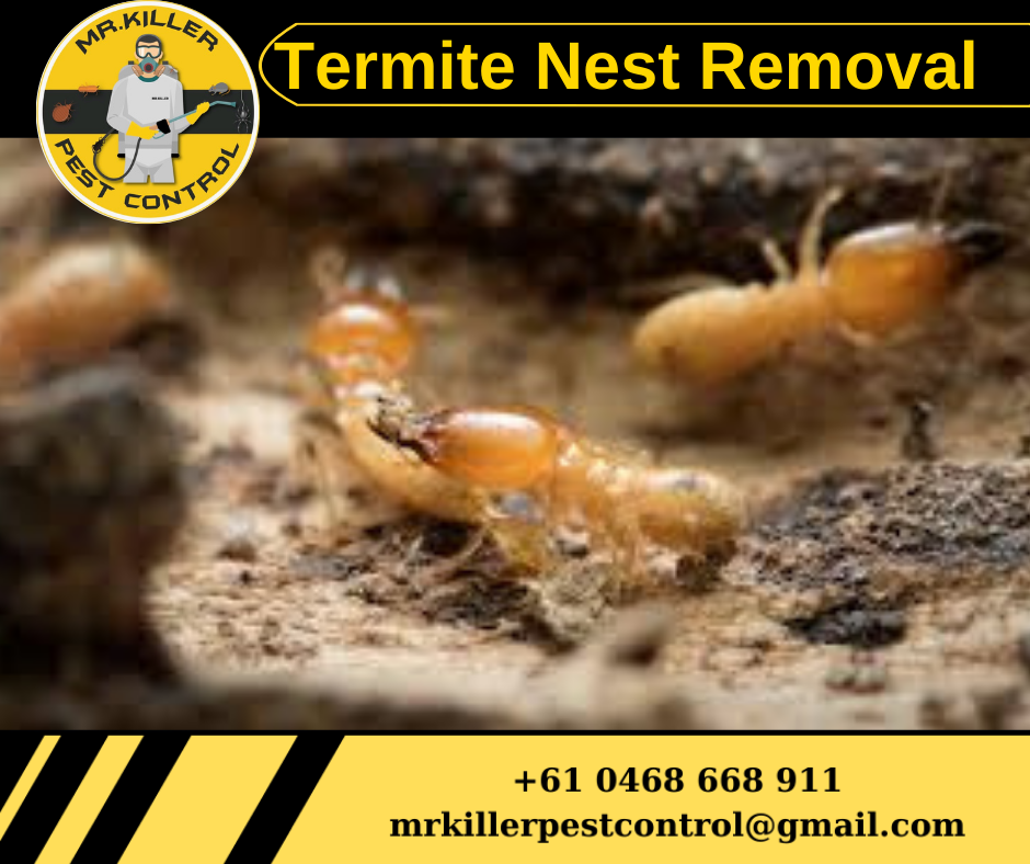 Termite Nest Removal