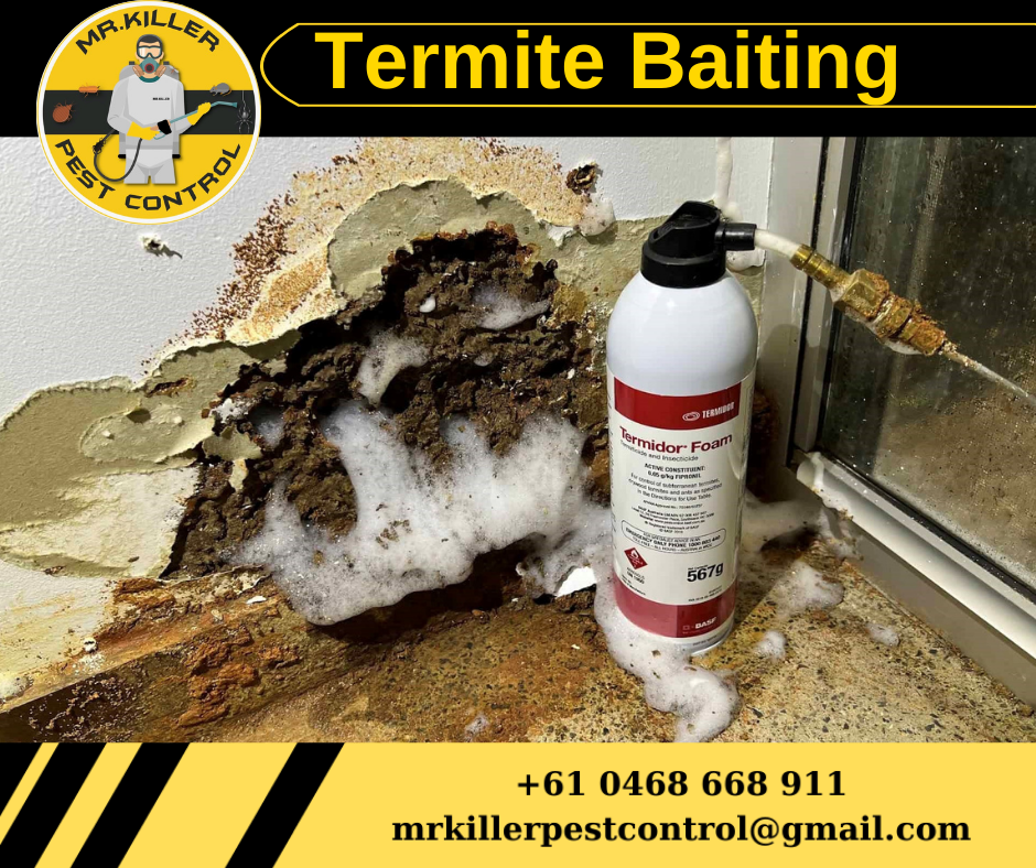Termite Baiting