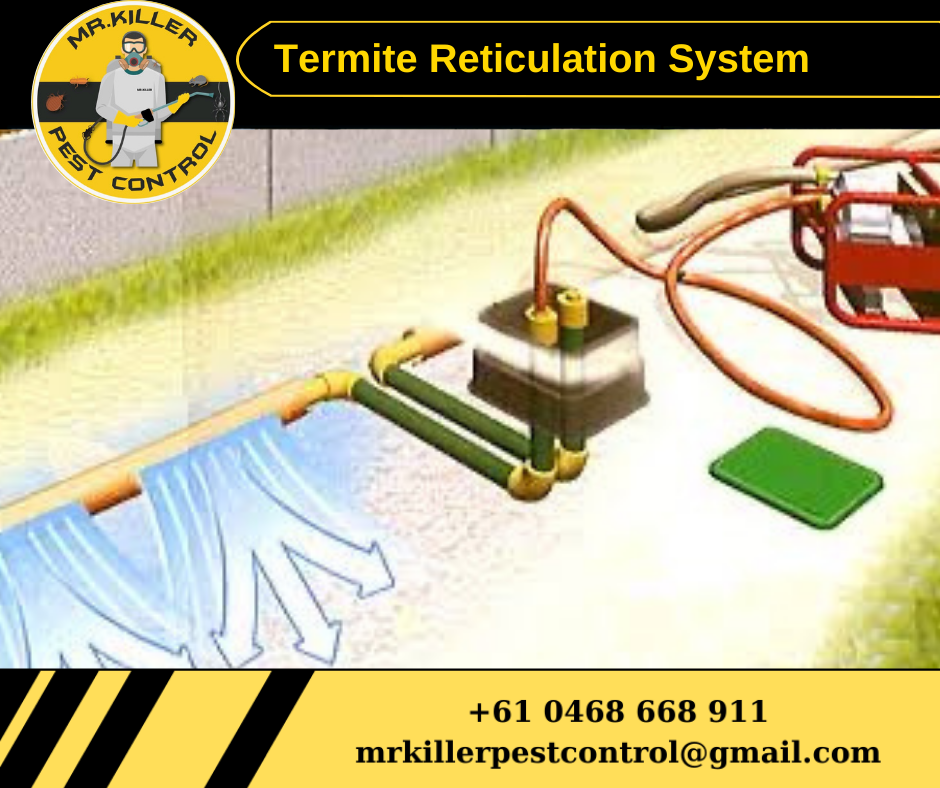 Termite Reticulation System