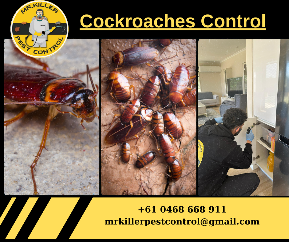 Cockroaches Control Coburg, Vic 3058