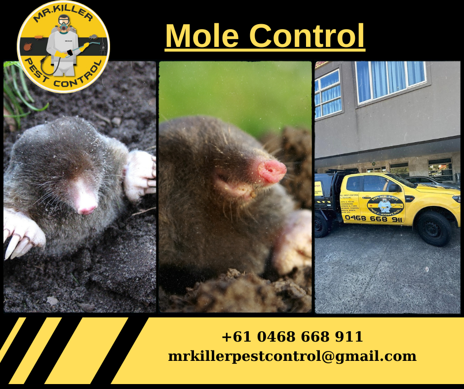 Moles Control Moonee Ponds, Vic 3039