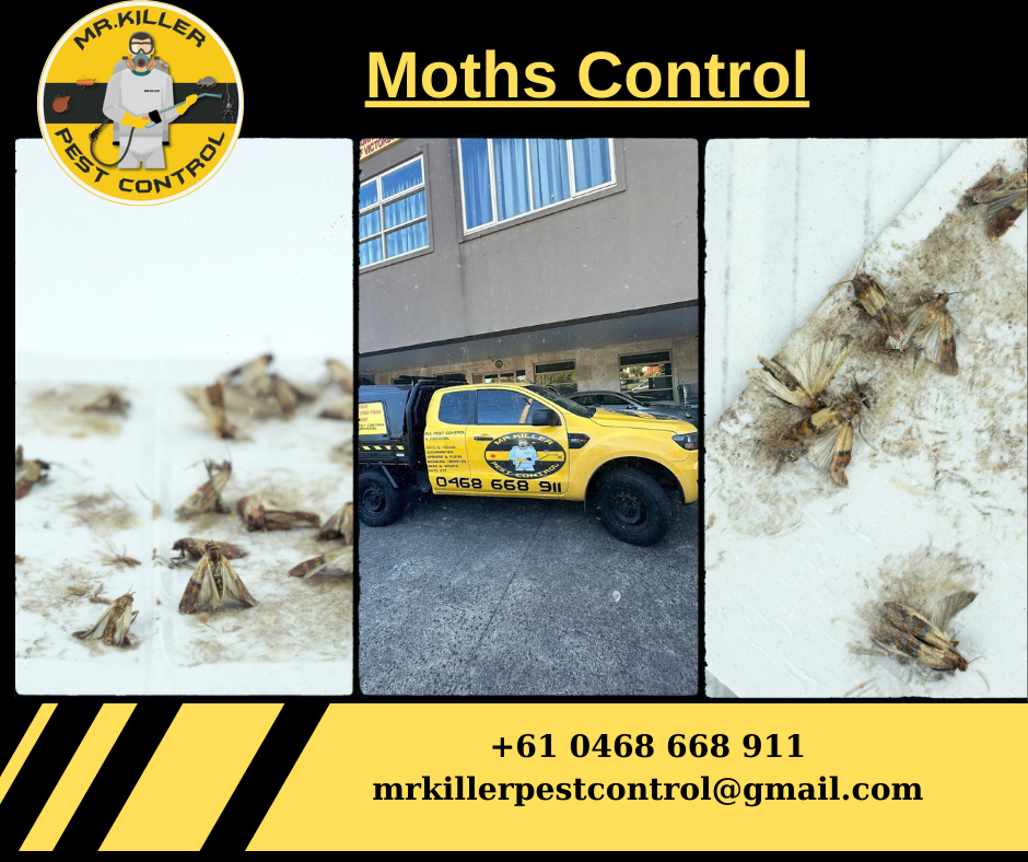 Moths Control Footscray, Vic 3011