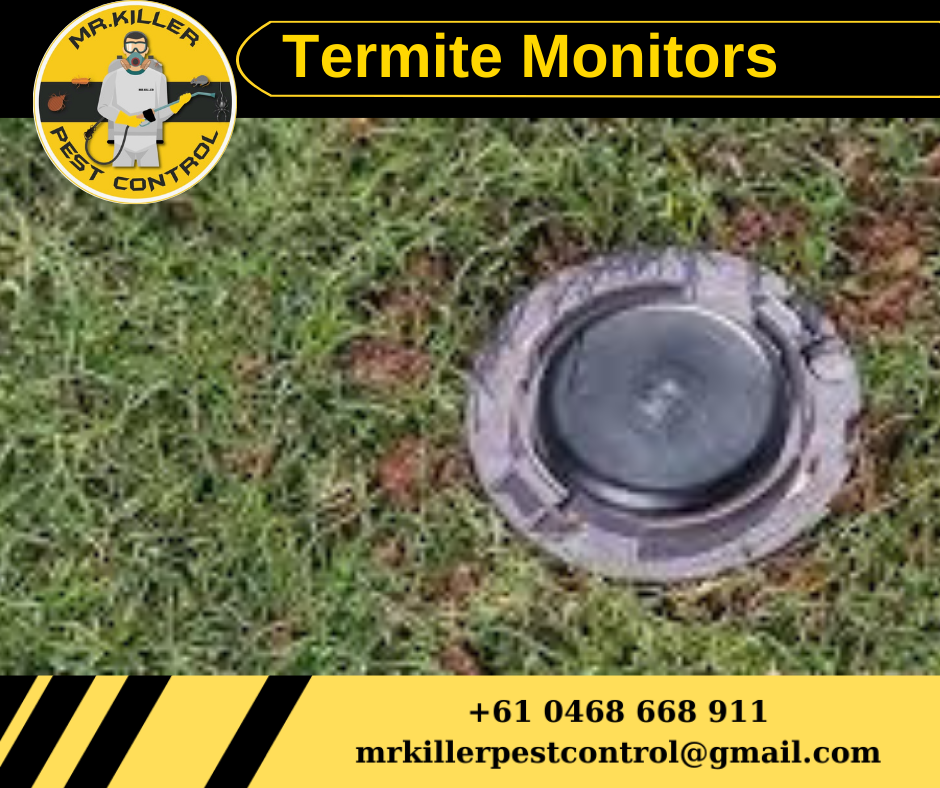 Termite Monitors l Termite Monitoring Essendon, Vic 3040