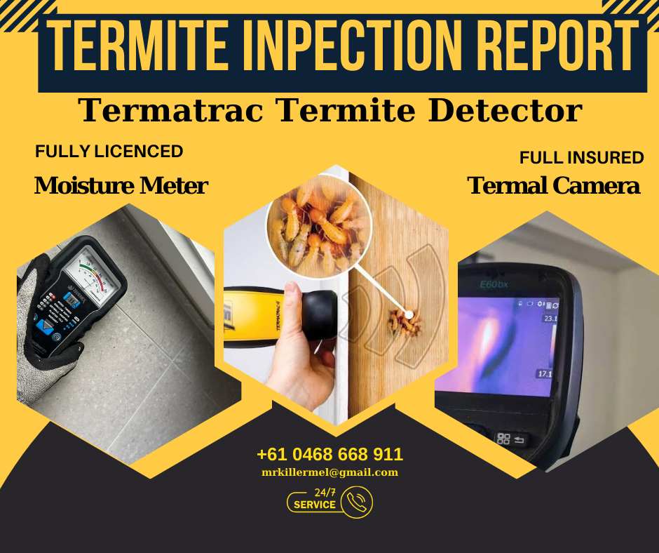 Termite inspection service Near Me Vic, Knoxfield 3180
