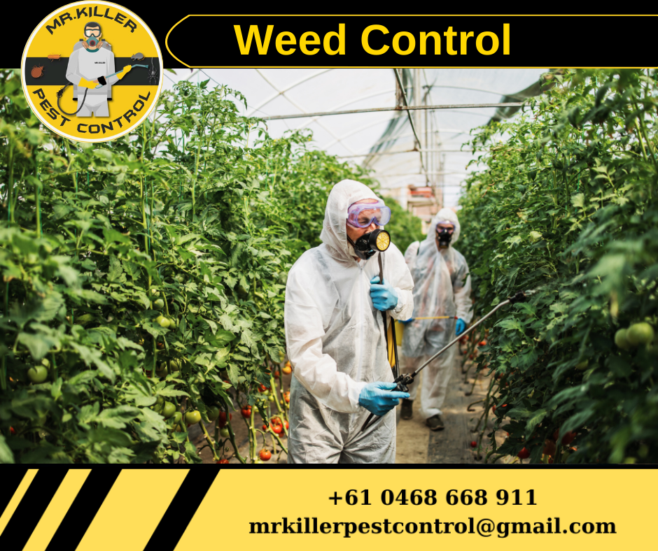 Weed Control Ascot Vale, Vic 3032