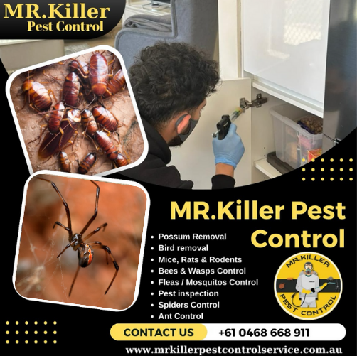 East Warburton pest control