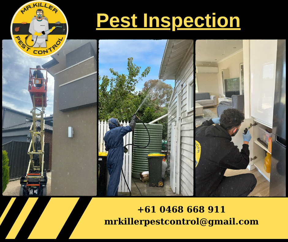 Pest Inspection Airport West, Vic 3042