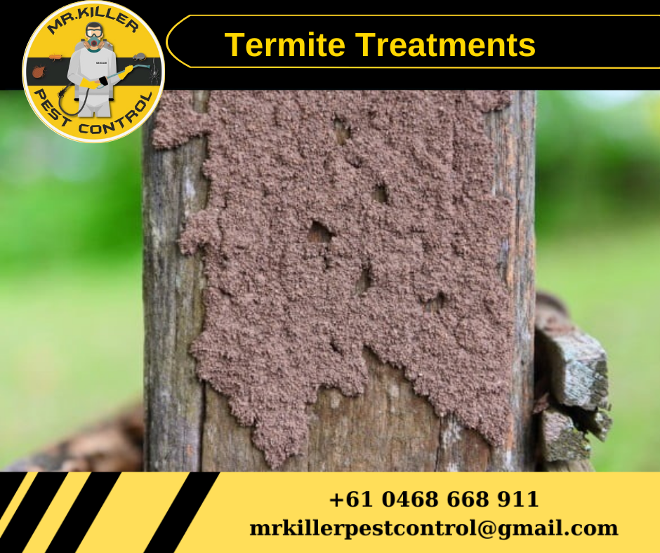 Termite Treatment Service Near Me Vic, Macclesfield 3782
